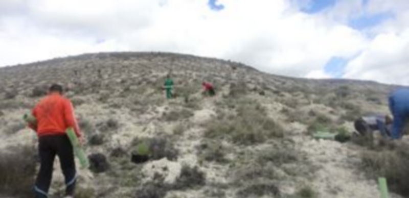 El desarrollo de los trabajos ha permitido al Ayuntamiento la contratación de una quincena de personas./ El Adelantado