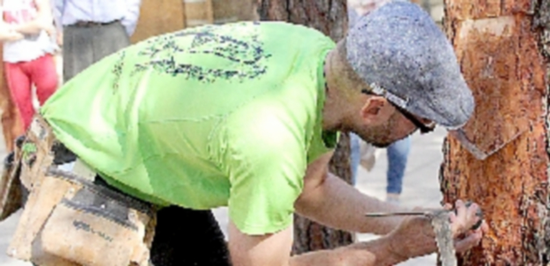 La campaña de resina acusará la abundante sequía pero será positiva 1 Demostración en la II Feria de la Resina. / Chantal Núñez