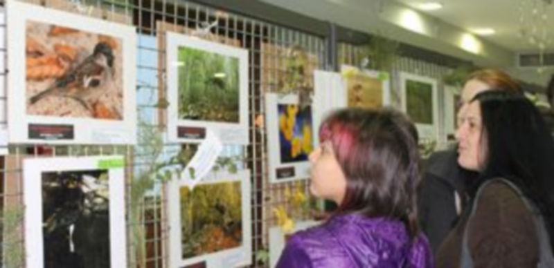 Hasta el 28 de abril la sala permite también visitar la exposición del Concurso Fotográfico de Flora y Fauna. / Nuria Pascual