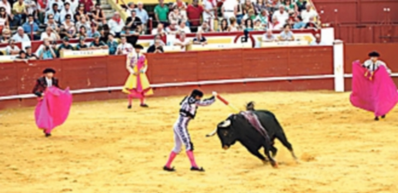 Denuncian la falta de transparecia en el tema de festejos taurinos respecto al uso de intermediarios. / Luis Tejero