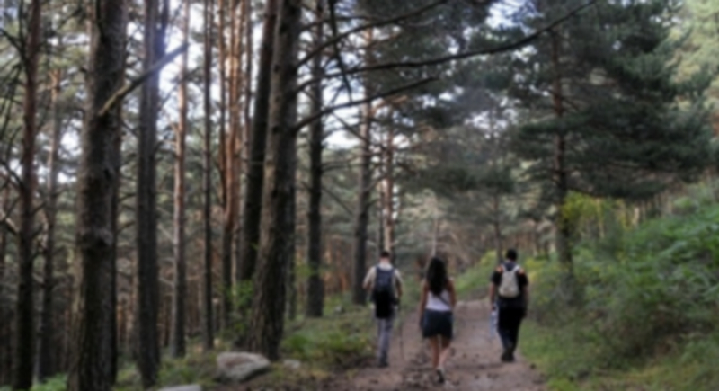 El medio ambiente preocupa a los  ciudadanos y a las administraciones. / El Adelantado