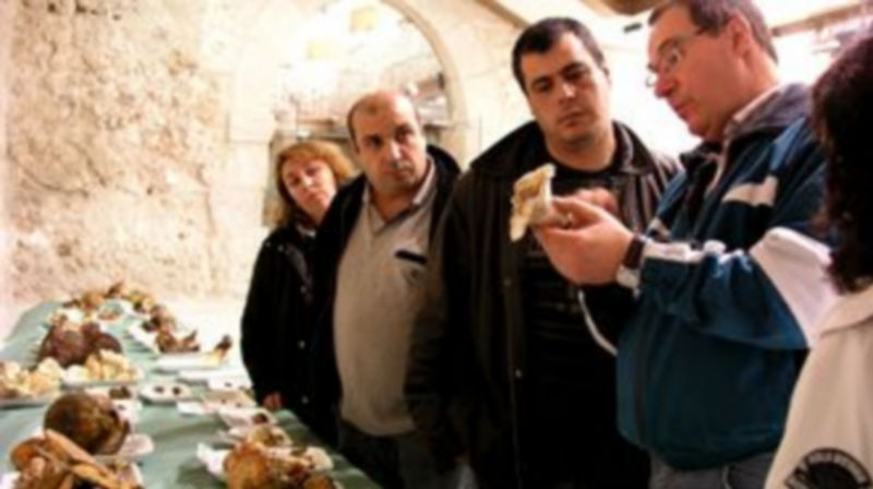 Los miembros de la Sociedad Micológica atendieron las dudas de los aficionados y visitantes de la muestra./Gabriel Gómez