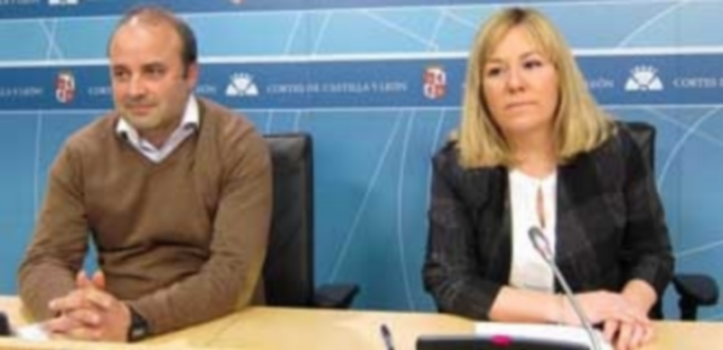 Ciudadanos pide eliminar los coches oficiales en las Cortes regionales 1 La procuradora de Ciudadanos por Ávila y secretaria tercera de las Cortes de Castilla y León
