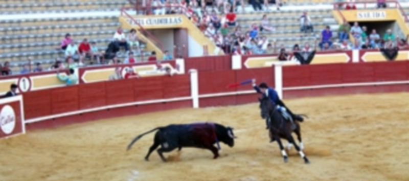 El festejo cuenta con ‘Fila Cero’ para realizar donaciones en beneficio de los damnificados de Nepal. / Luis Tejero