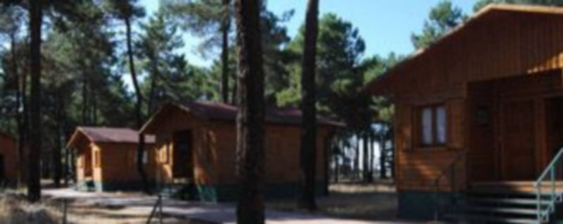 Imagen de varios de los bungalows de madera que ofrece el camping Hoces del Duratón