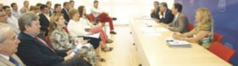 Fernández Carriedo (2 d) preside la reunión del Grupo Popular para tratar la estructura de trabajo en las Cortes. / Ical