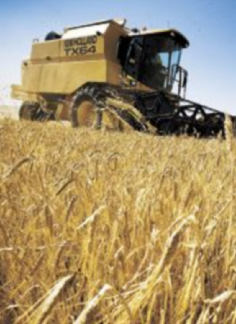 Una cosechadora realiza las tareas propias de recogida del cereal. / Alberto Rodrigo