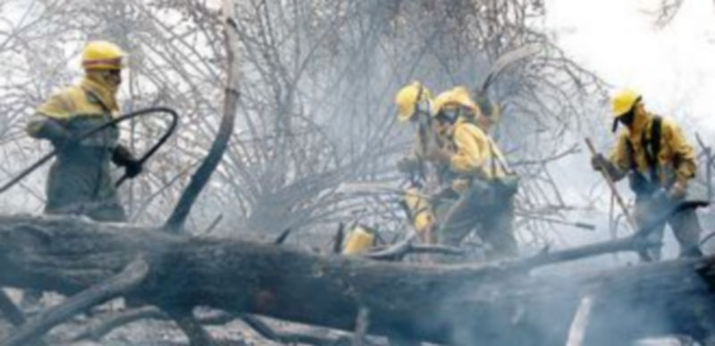 Varios operarios de una cuadrilla contra incendios trata de apagar el fuego en un siniestro ocurrido en Cuéllar (Segovia) hace poco menos de un mes. / Ical