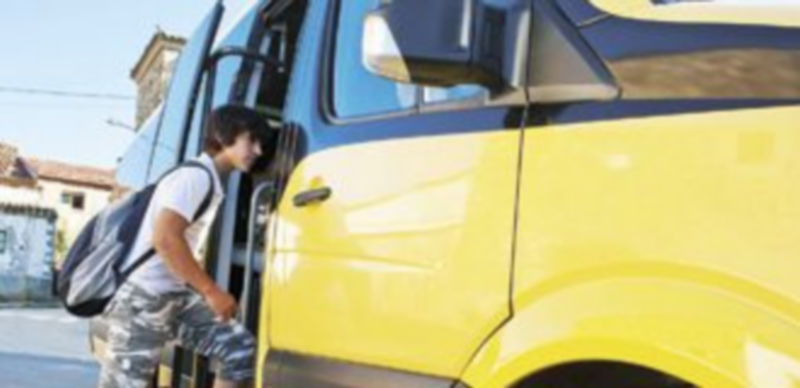 Un muchacho se sube a uno de los autobuses que realiza los servicios de transporte a la demanda en la provincia de Soria. / ICAL