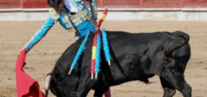 El diestro Víctor Barrio