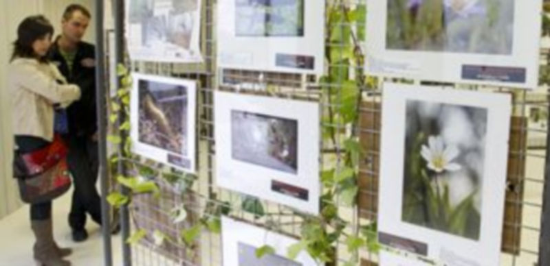 Exposición de esta edición del certamen fotográfico. / Gabriel Gómez