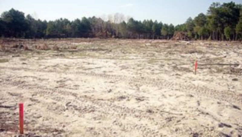 Parcela sobre la que se construirá la estación depuradora de Sanchonuño./El Adelantado