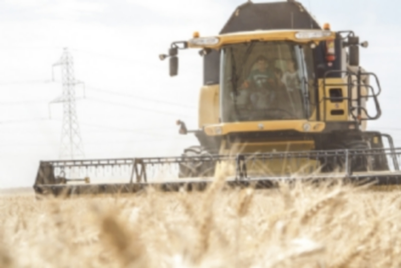 La cosecha de cereal se incrementa un 2% respecto al año pasado 1 La consejera de Agricultura