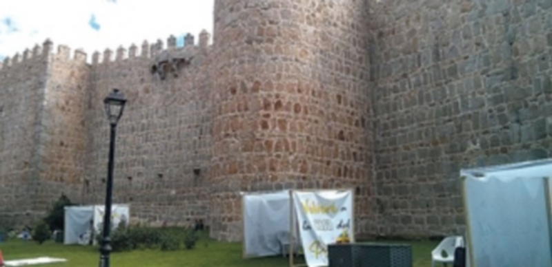 Cientos de jóvenes participan de la confesión bajo la muralla de Ávila 1 Además de los jóvenes del Encuentro Europeo