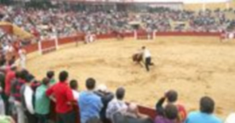 Señalan que no se ha dispuesto de  los erales y vacas emboladas marcados para las probadillas./Gabriel Gómez