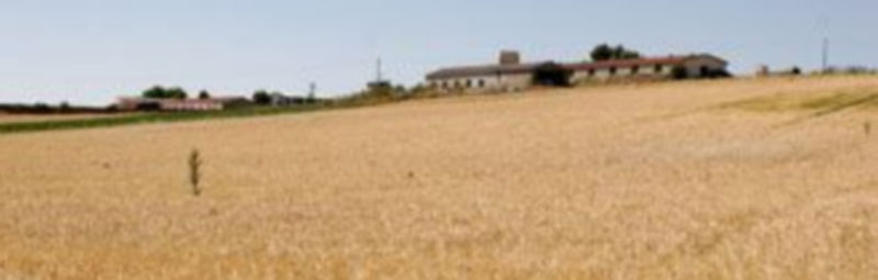 El conjunto de fincas cuyo arrendamiento se sacará a concurso supera las 300 hectáreas./Gabriel Gómez