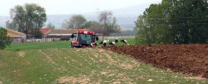 El precio de la tierra agraria se ha ido depreciendo en los últimos años y la hectárea está en torno a 10.400 euros. / F. Descalzo