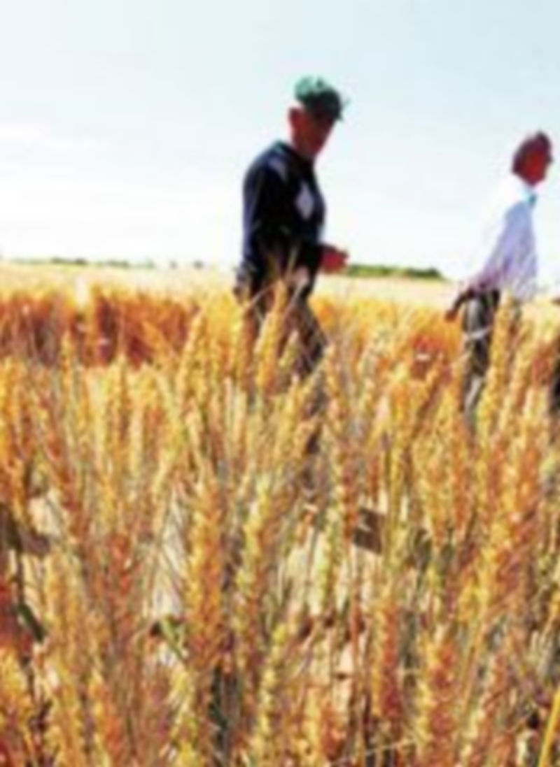 El sector agrario español reclama más estabilidad. / Rubén Serrallé