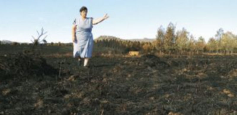 Tras el fuego, la esperanza 1 La señora Elisa