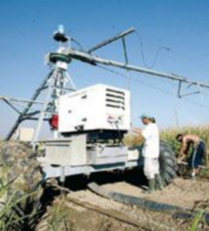 Dos operarios trabajan en un campo de maíz de la Comunidad. /ICAL