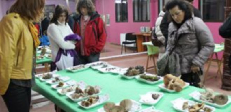 La Casa Joven Carchena acogió este año el desarrollo de la muestra micológica. / Gabriel Gómez