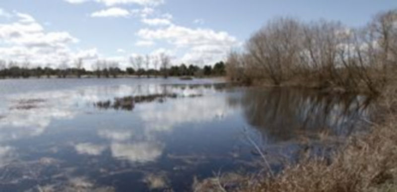 El Humedal de El Espadañal se encuentra junto al polígono Prado Vega y el campo de golf. / Gabriel Gómez