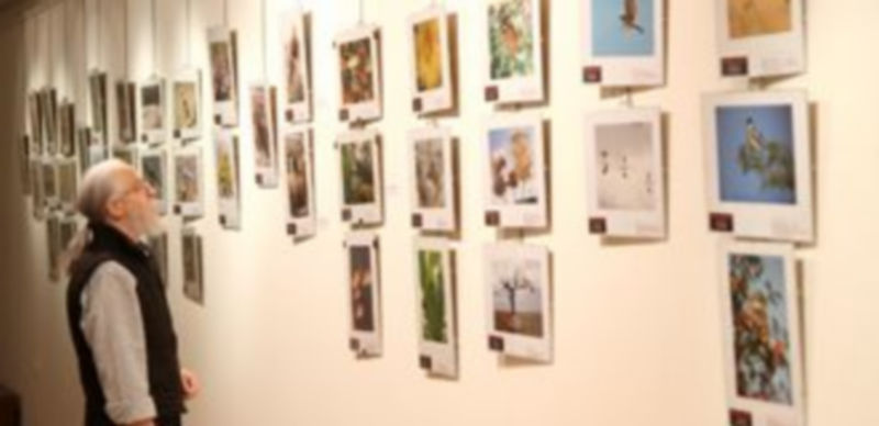 Javier Martin observando las fotografías participantes en el certamen el pasado año./Gabriel Gómez