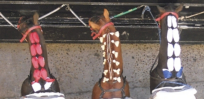 Foto ganadora del concurso organizado por la entidad. / J. Antonio Espeso