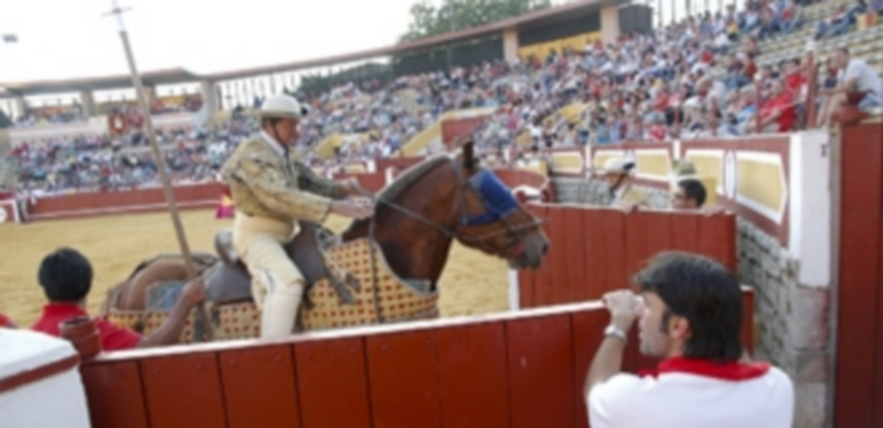 Los gastos se han reducido en  más de 36.800 euros en los festejos de 2013. / Gabriel Gómez