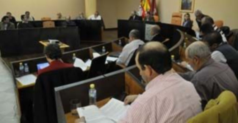 Un momento de la reunión celebrada ayer en el salón de actos de la Diputación de Segovia entre los miembros que integran la Mesa Nacional del Ajo. / Juan Martín