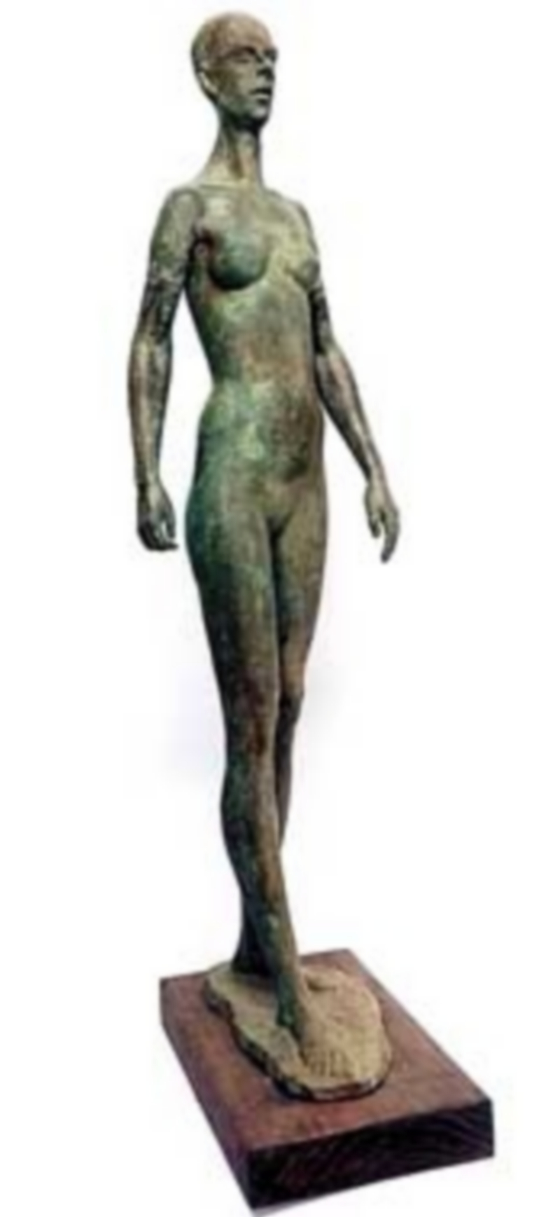 Gregorio Herrero. Caminando