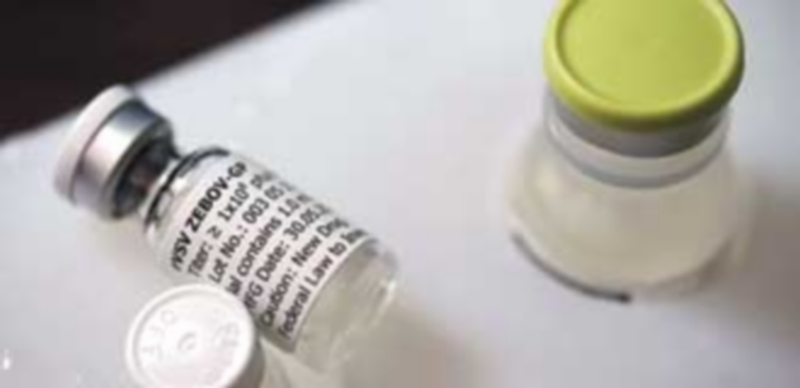 La Junta comenzará a suministrar la vacuna contra la varicela en abril 1 Castilla y León continúa con su apuesta de incluir los últimos avances en el calendario de vacunación. / Europa Press