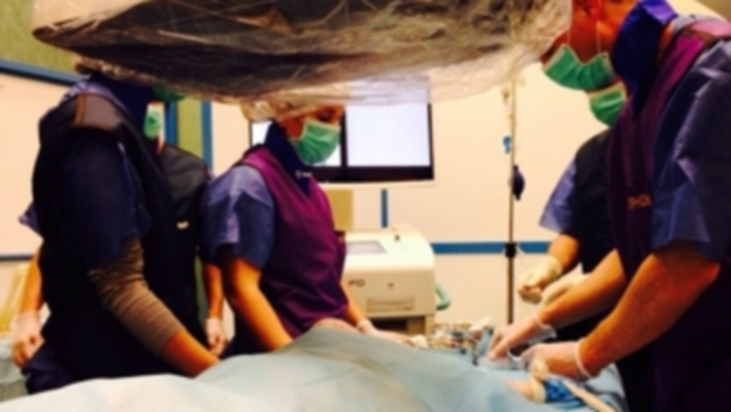 Sanidad ofrecerá un contrato de tres años a los mejores residentes 1 Un grupo de residentes participa en un curso sobre cirugía vascular. / europa press