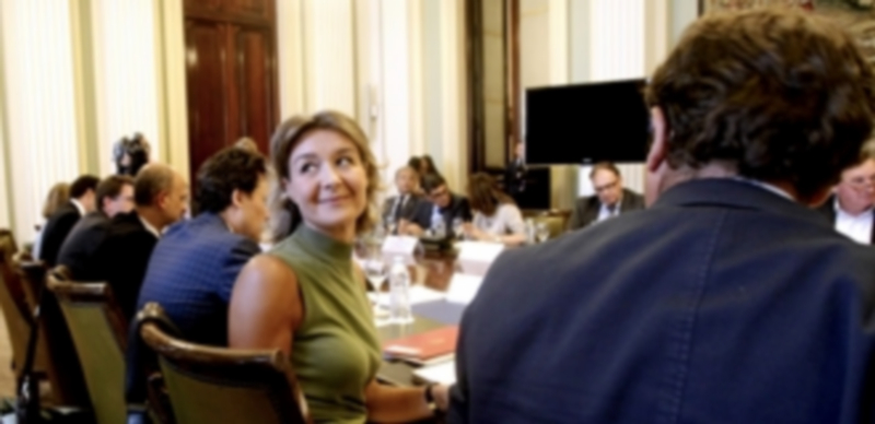 García Tejerina anuncia una ayuda específica para el vacuno de leche 1 La ministra de Agricultura