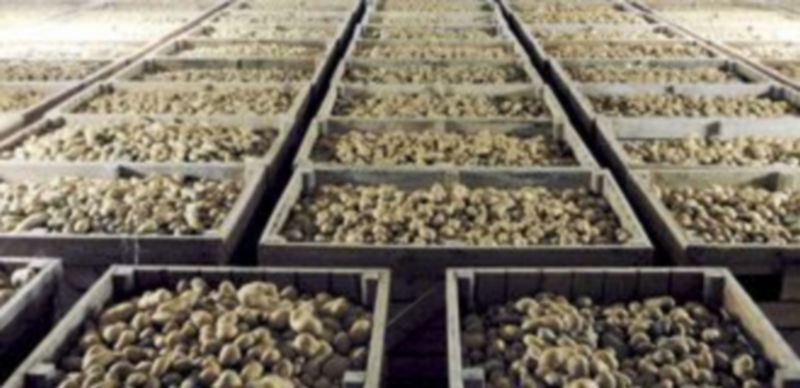 Almacén de una de las cooperativas agrarias que hay en la Comunidad. / Ical