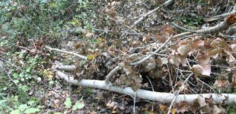 La Senda de los Pescadores será acondicionada para su disfrute 1 Estado de uno de los tramos de la Senda