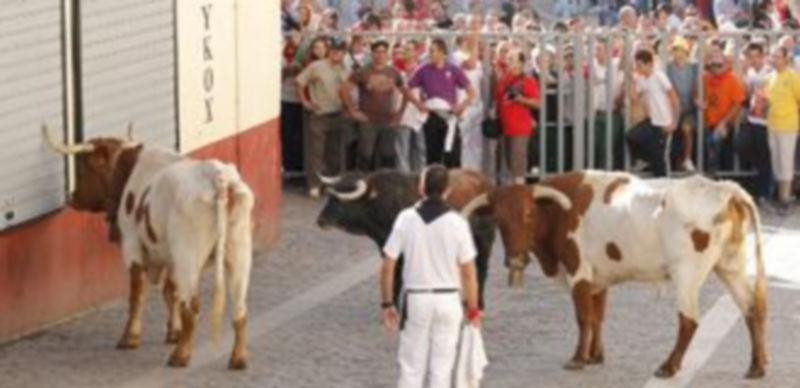 La Peña  solicita al alcalde una reunión para abordar la gestión de los festejos taurinos./ Gabriel Gómez