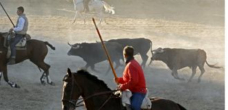 La nueva ordenanaza pretende cambiar la distancia a la se podrán situar coches y personas. / Gabriel Gómez