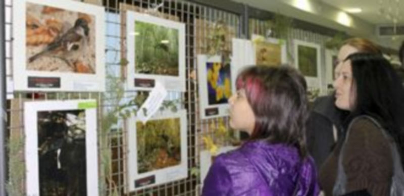 La sala Alfonsa de la Torre acogerá desde mañana la exposición de las fotografías presentadas. / Nuria Pascual