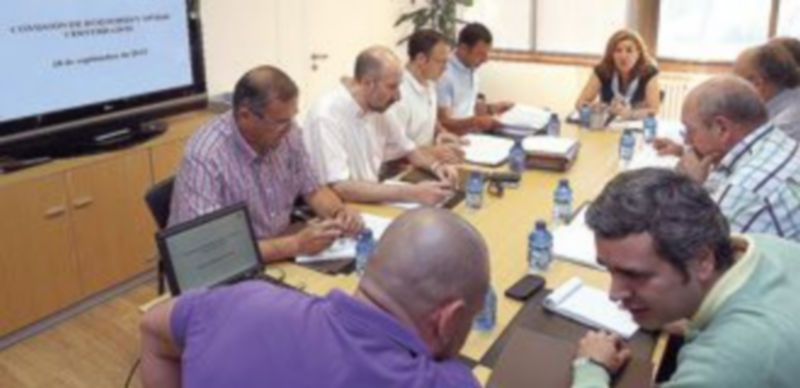 Maria Jesús Pascual preside la reunión del Comité Científico de la Comisión de Roedores. / Ical