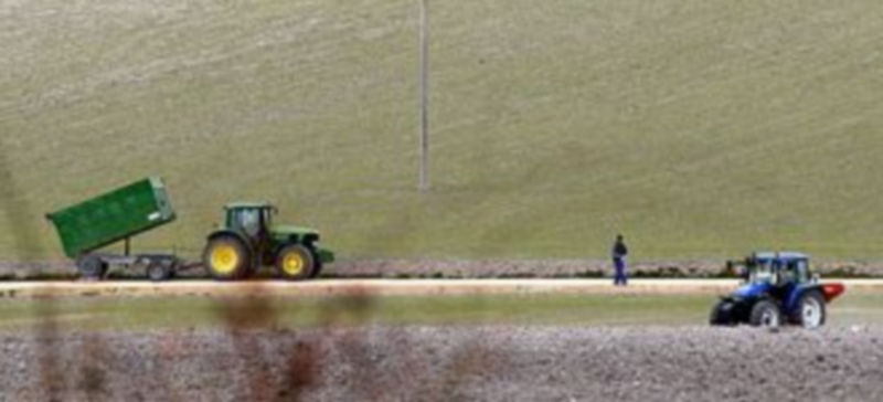 Las fincas tienen una superficie de 63