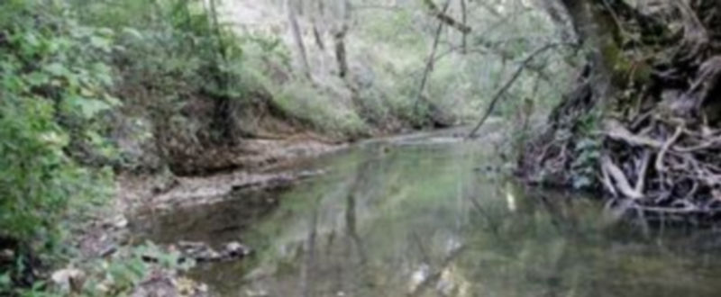 La pesca del cangrejo ya está abierta en los tramos de Villa y Tierra 1 La temporada de pesca del cangrejo señal permanecerá abierta hasta el 15 de agosto./Gabriel Gómez