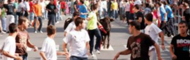 La suelta de vaquillas es la actividad más tradicional de la festividad del patrón de la villa. / Gabriel Gómez