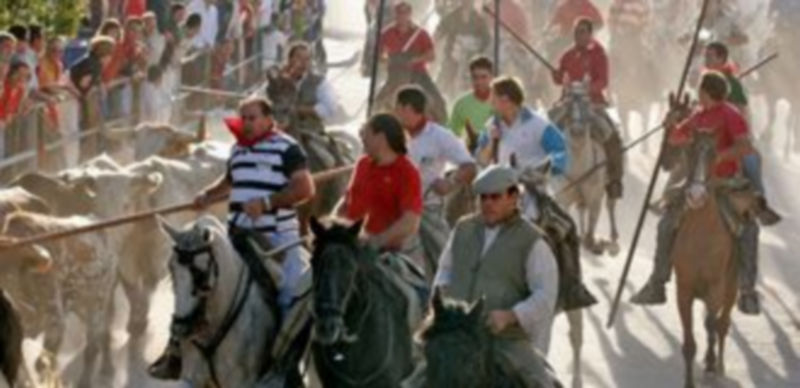 La Guardia Civil controlará que los caballistas inscritos porten el distintivo entregado por el Ayuntamiento ./Gabriel Gómez