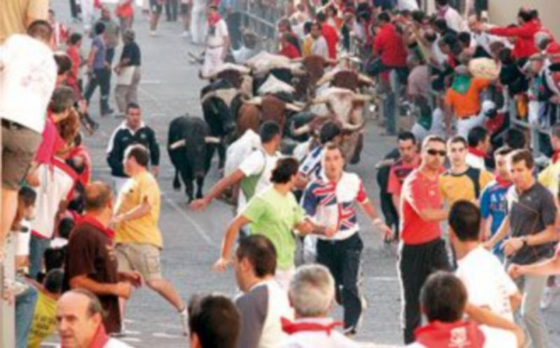 El colectivo internacional agrupará a entidades organizadoras de festejos populares con toros. / Gabriel Gómez