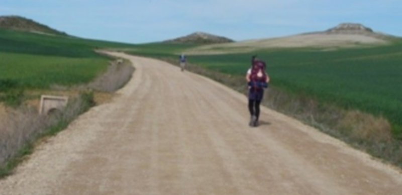 Los peregrinos a Santiago que pasan por la región suben un 5% 1 Dos peregrinos recorren uno de los tramos del Camino de Santiago Francés a su paso por Castilla y León. / Agencias