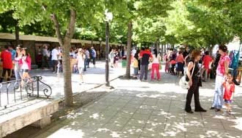 Los Paseos de San Francisco y sus aledaños acogen el desarrollo de este certamen./ Gabriel Gómez.