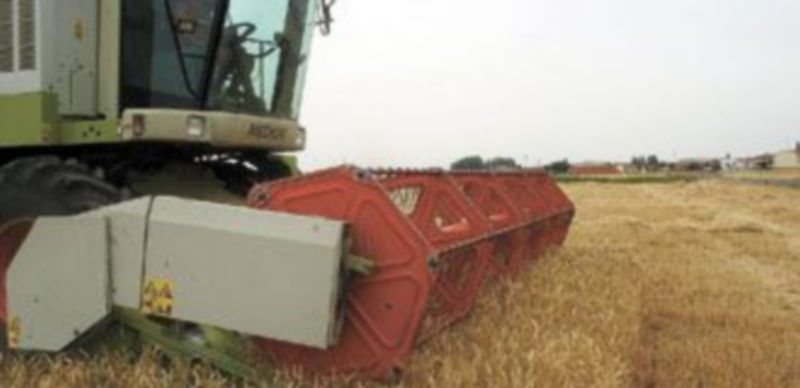 Quienes más cobren en la actualidad