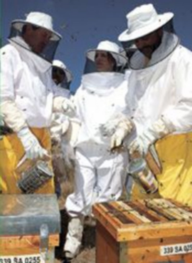 Silvia Clemente (c) visita una explotación apícola en Salamanca. / D.A. (Ical)