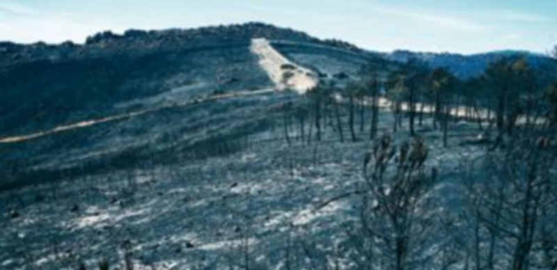 Restos del incendio de Castrocontrigo desde el mirador del Villar en Nogarejas (León). / Ical